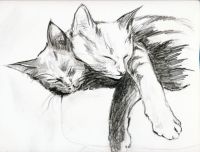 Cuddle Kitties